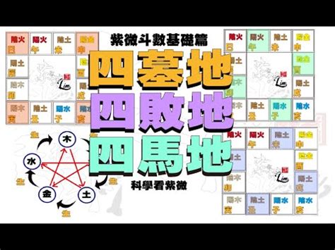 墓庫冲開|精論八字中的庫墓